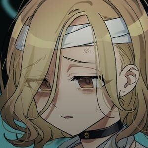 Meet your Posher, Sue